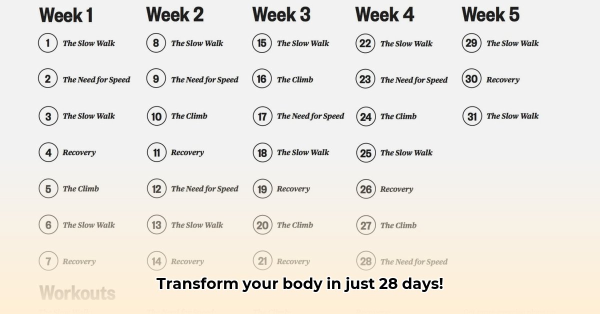 betterme-28-day-treadmill-challenge